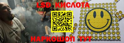 гидропоника Новозыбков