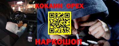 гидропоника Новозыбков