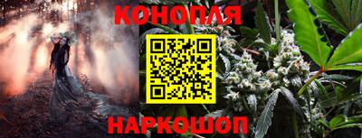 каннабис Новодвинск