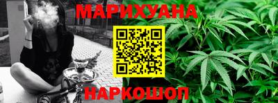 гидропоника Новозыбков
