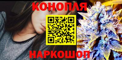 гидропоника Новозыбков