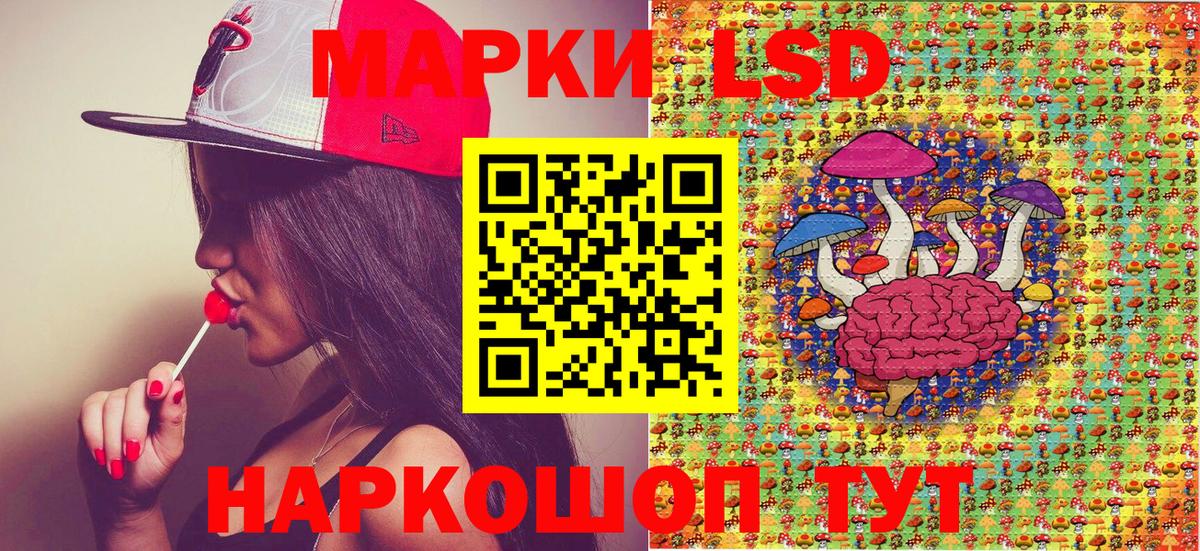 Серов  Наркотические марки 1,8мг  сколько стоит  Наркотические марки 1,8мг  Вход с VPN  Наркотические марки 